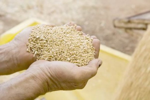 Anul agricol 2012 nu va mai fi unul de excepţie